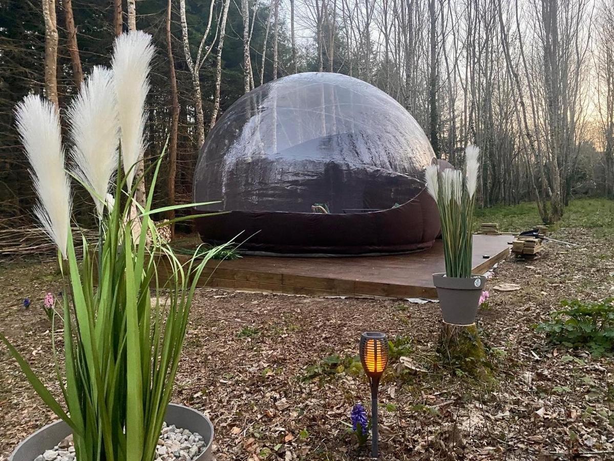 Logement insolite Bubble jungle Saint-Évarzec Exterior foto