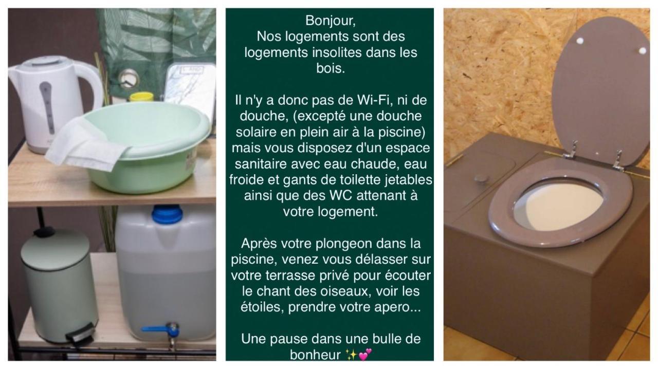 Logement insolite Bubble jungle Saint-Évarzec Exterior foto